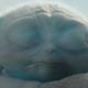 Grogu looked a little different here, right?